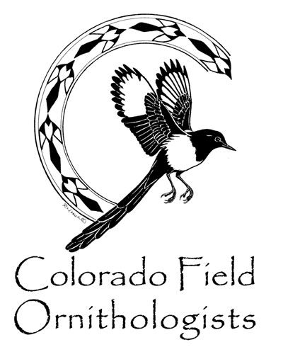 Logo-CFO