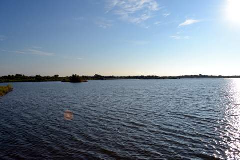 New Pond Road (2)