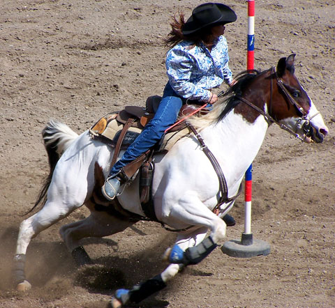 CJRA Pole Bending Competition